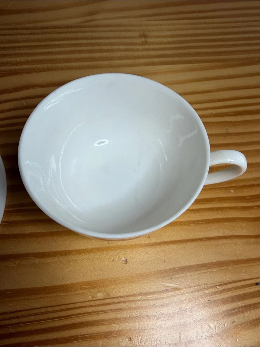 Vintage Current Inc Christmas Poinsettia Teacup & Saucer Set